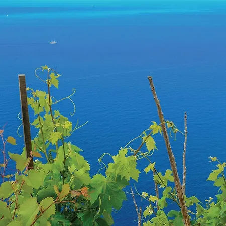 21 Tatil Evi Žuljana