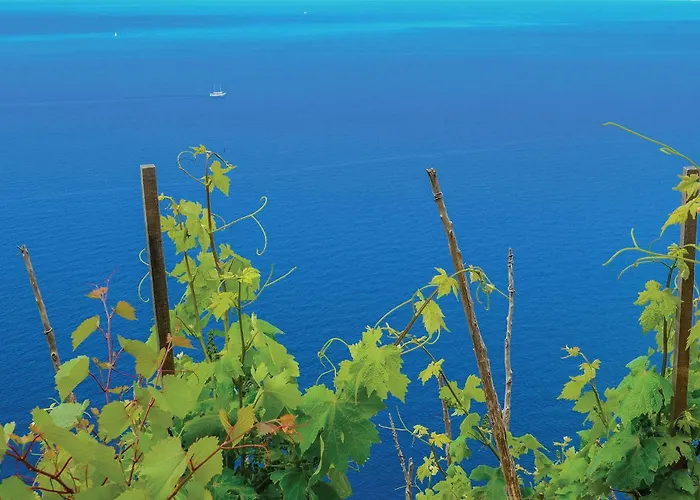 21 Tatil Evi Žuljana