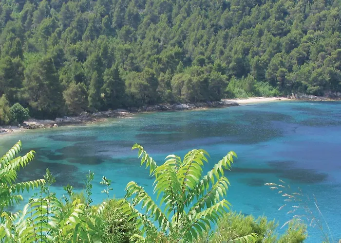 בית נופש 21 *